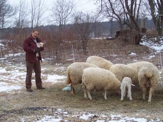 Jens keeping newborn lamb warm